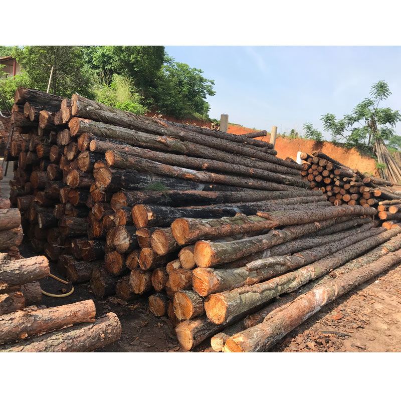 松木樁使用注意事項(xiàng)有哪些？