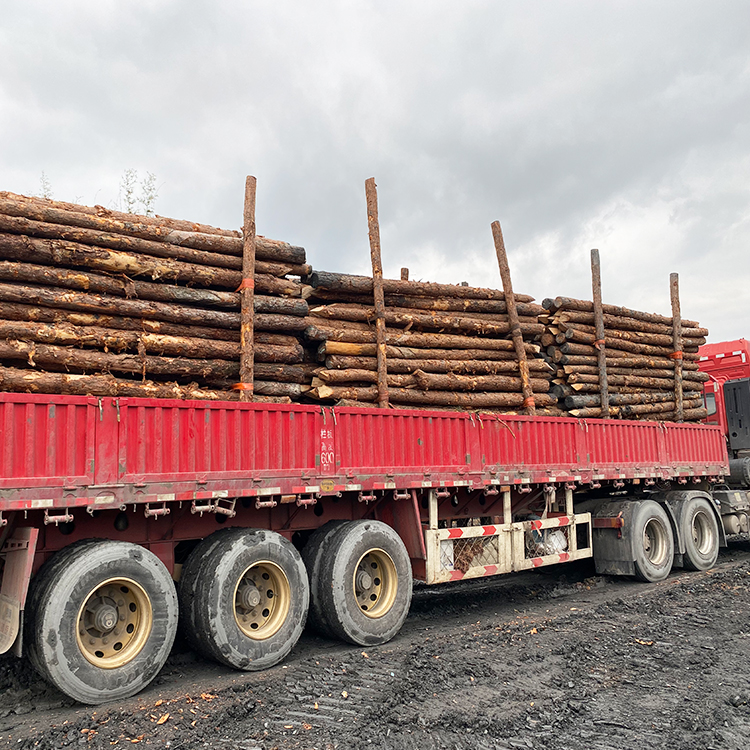 河道木樁報(bào)價(jià):河道(6米)松木木樁多少錢一米,原木樁多少錢？