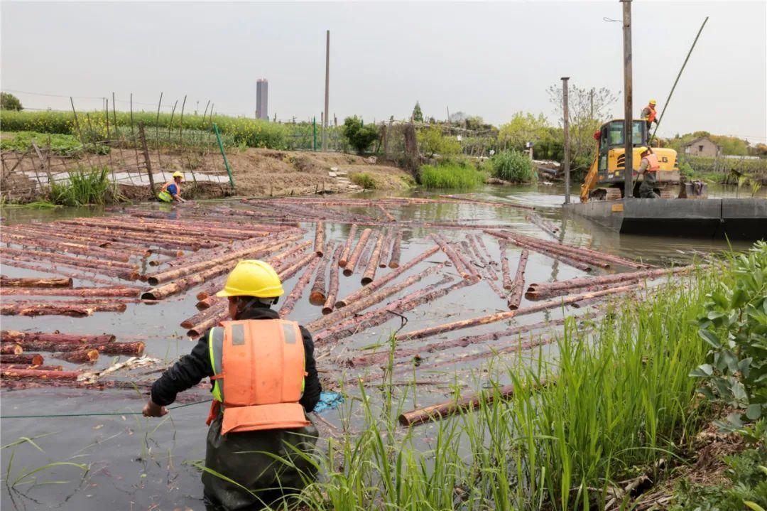 改善水環(huán)境！徐行122條段村級河道用木樁對河岸進行加固整治