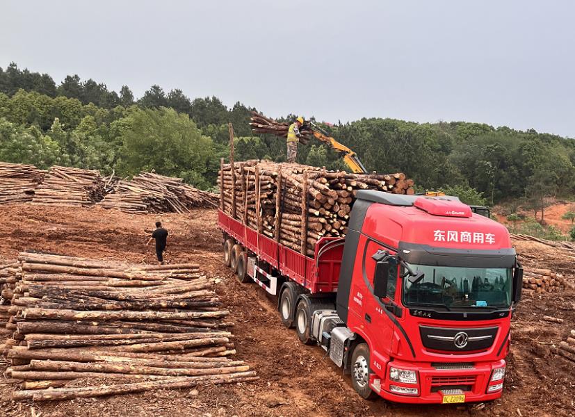 落葉松可以做防腐木嗎，如何制作落葉松防腐木
