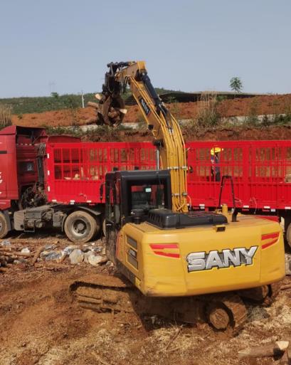 松木原木、松木條，漲勢如虹，現(xiàn)在搶購最劃算(附松木原木供應廠家介紹)