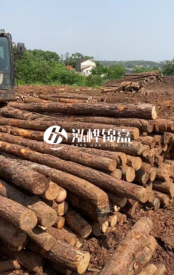 荊州挖機(jī)打木樁專業(yè)施工-河道打樁木被水浸泡后會(huì)不會(huì)變形嚴(yán)重？