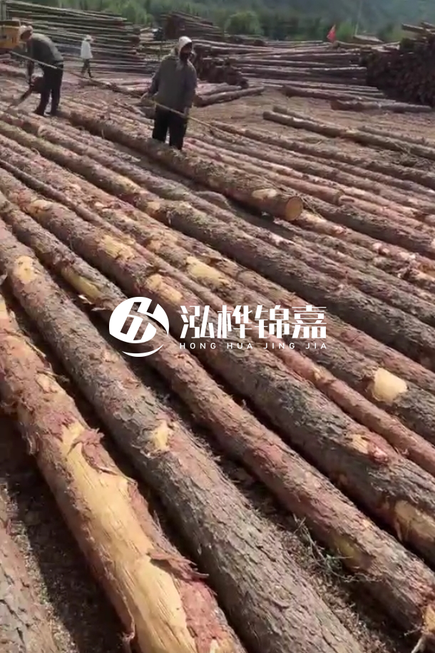 海口松木樁源頭廠家-松木樁最長可以做多少米？