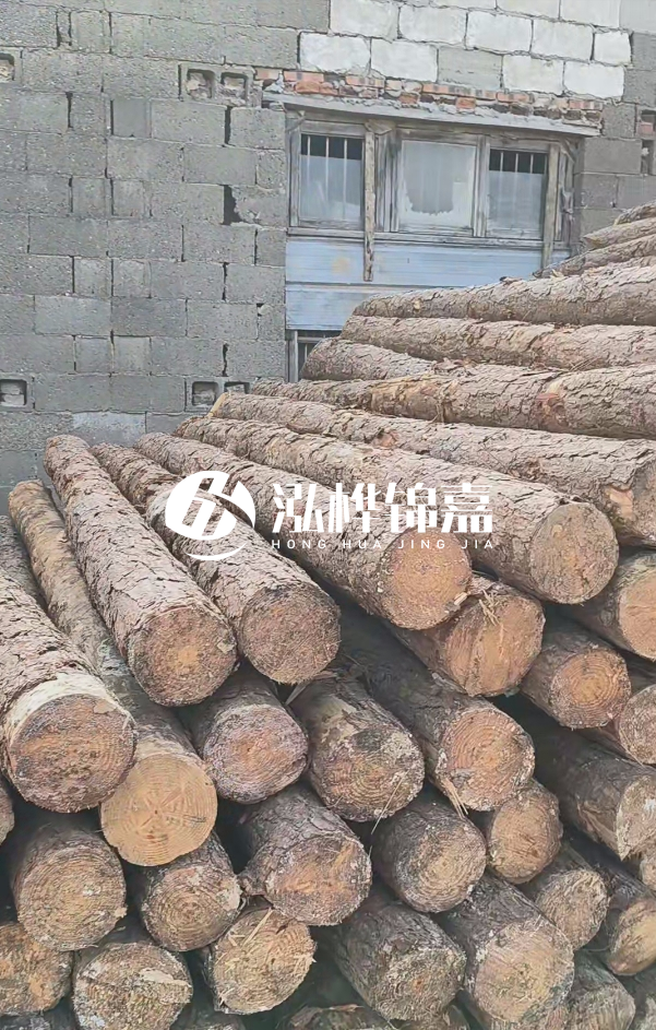 2025最新松木樁價格揭秘：松木樁一方到底多少錢？