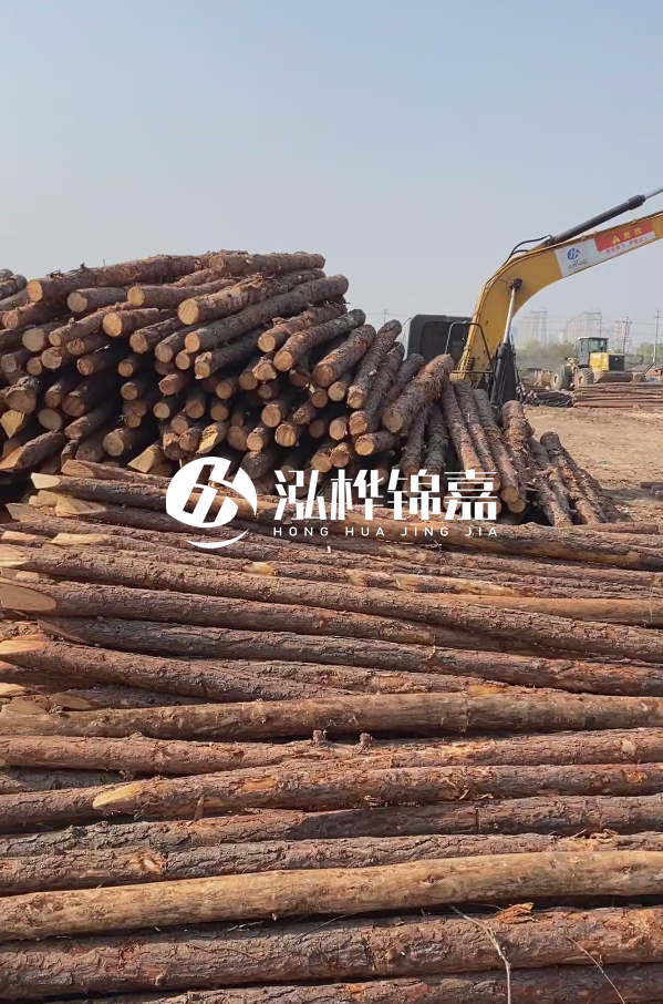 油松用于打樁木到底好不好？讓專業(yè)打樁隊告訴你！