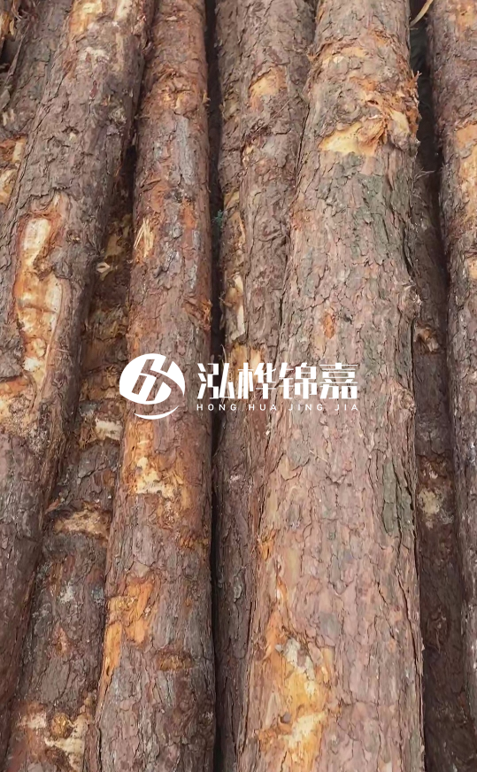 浙江地區(qū)大量供應松木樁，源頭廠家在哪里？