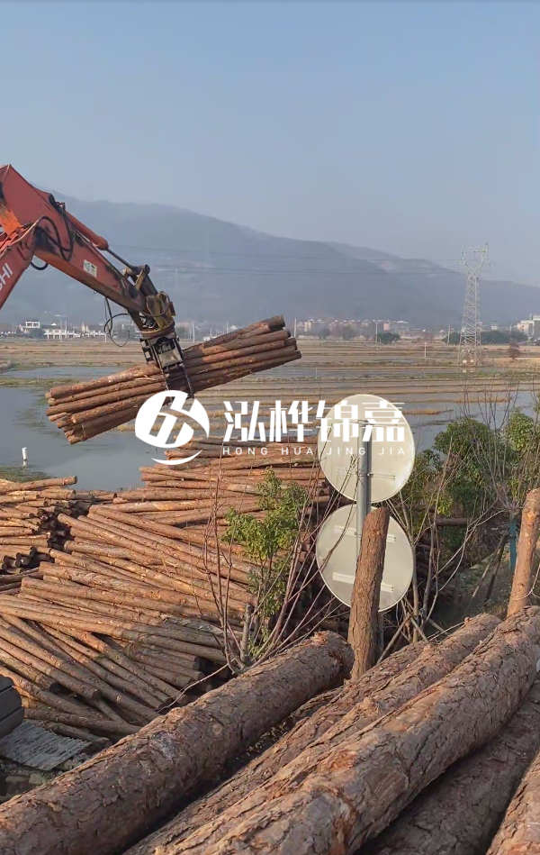 松木樁是否需要削皮呢？松木樁為什么不會(huì)爛掉呢？