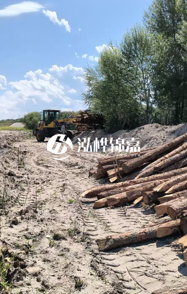 松木樁處理技術(shù)要求是什么-松木樁處理地基間距多少合適呢？