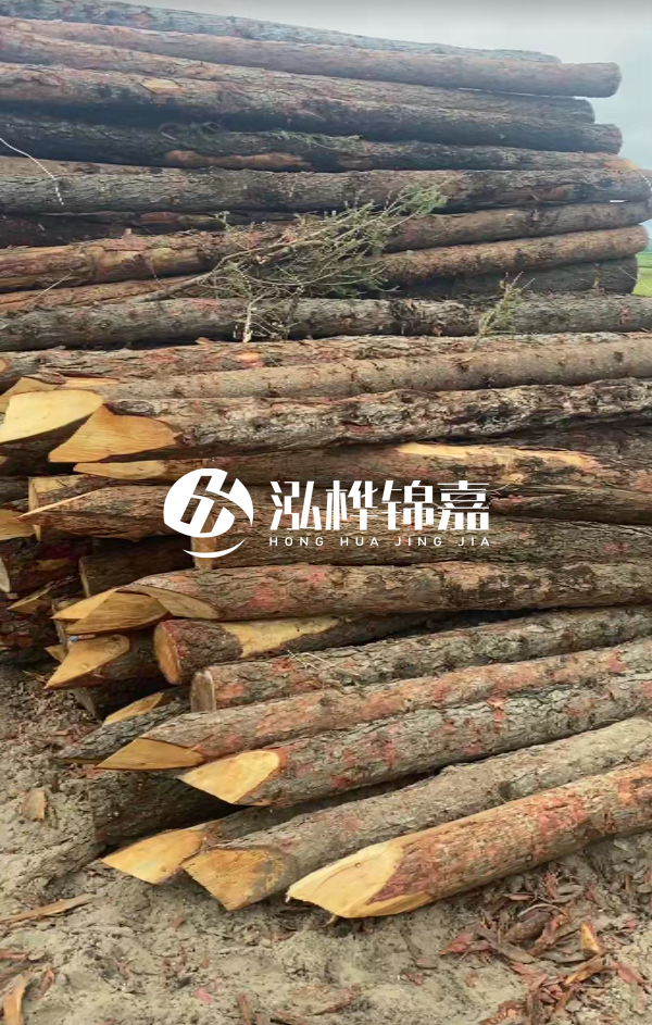 松木樁4米長尾徑14厘米價格是多少？一立方米有多少根？