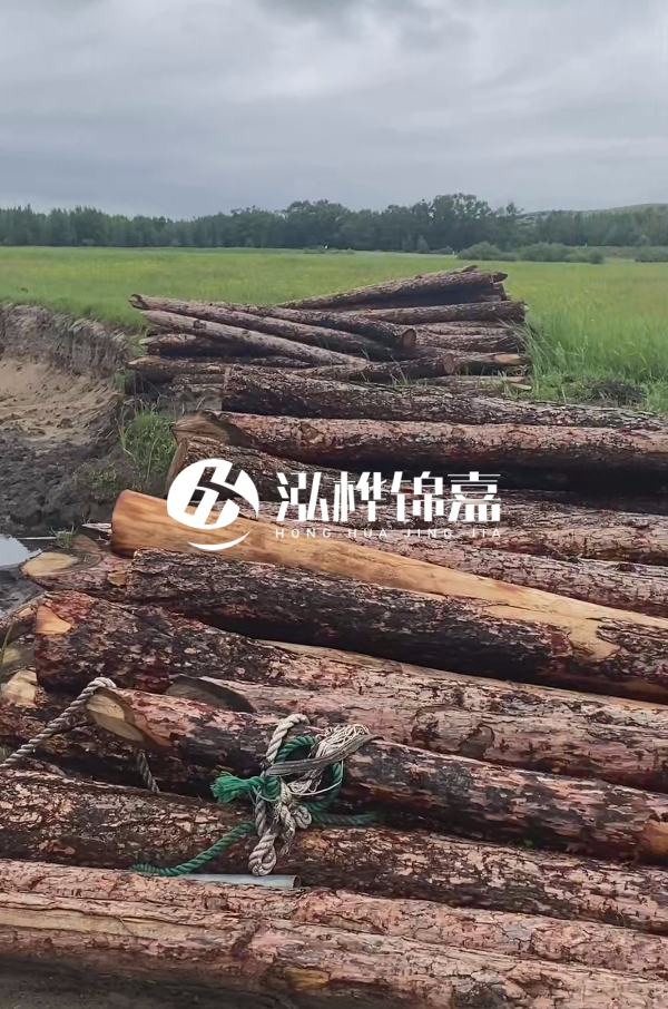 4米松木樁多少錢一根？松木樁預(yù)算單價怎么算的？