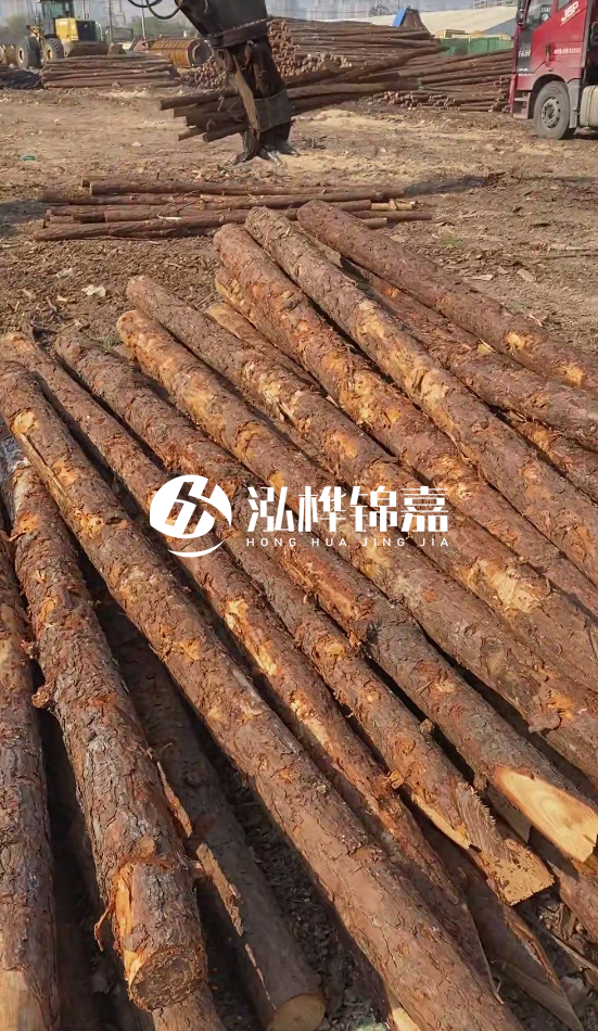 4.5米松木樁直徑14一根多少錢？5米14厘米多少錢？