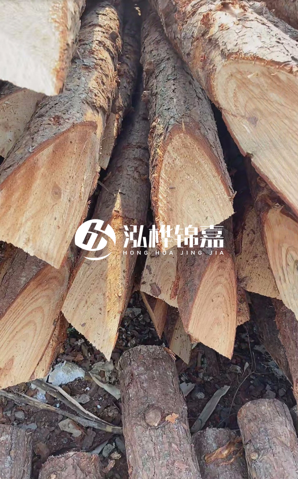 3米杉木樁梢頭12大頭多少？賣多少錢一根？