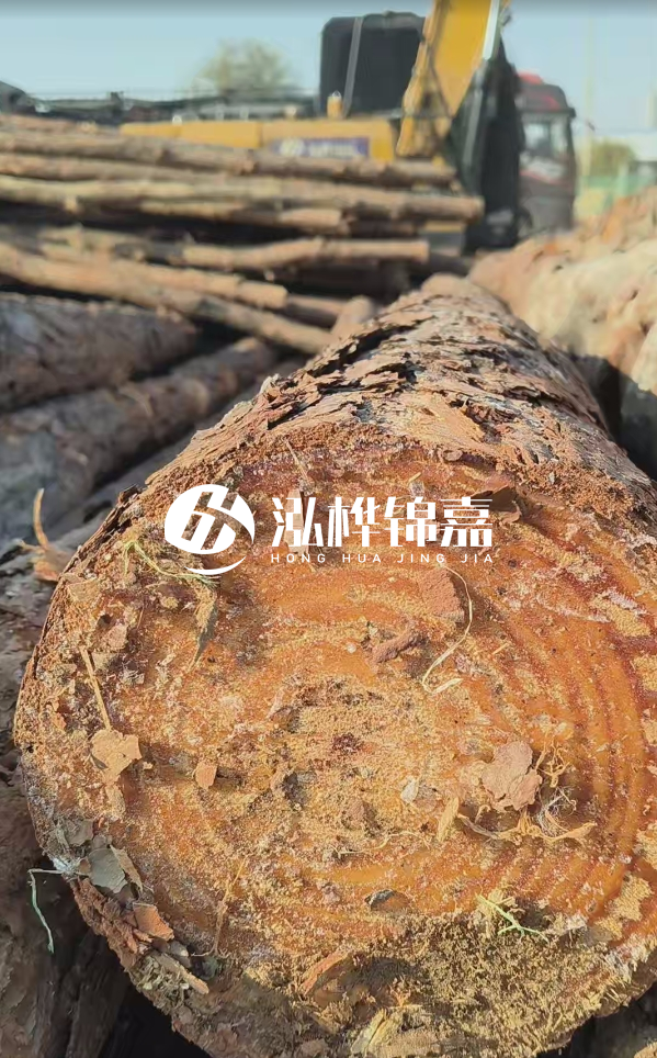 杉木樁價格多少錢一方-3米直徑14公分杉木樁價格？