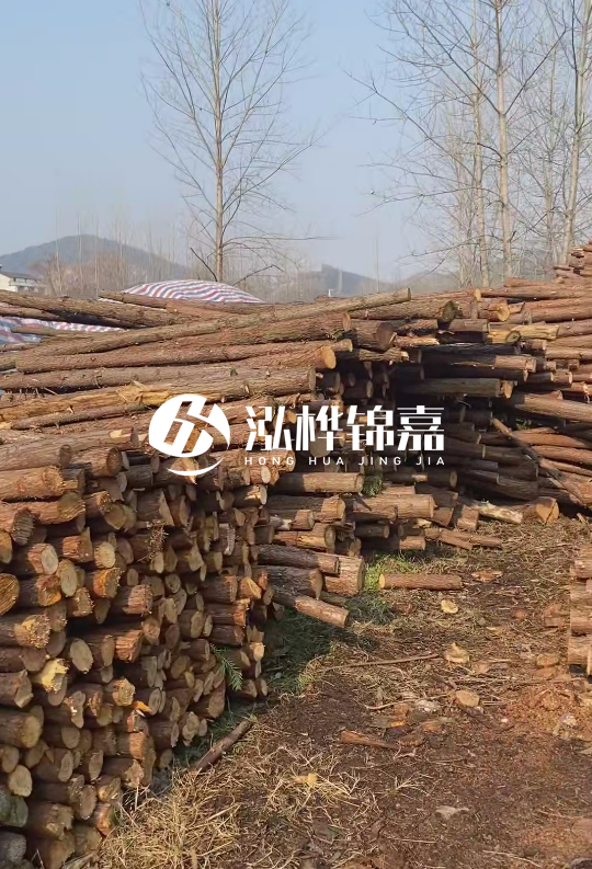 打杉木樁多少錢一根-一天能打多少根？