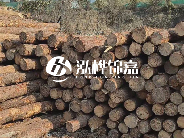 落葉松木材的主要產(chǎn)地在哪里？為什么比其他松木更耐腐蝕？