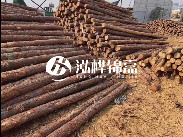 河道木樁施工遇到淤泥怎么辦？打多深才能防沖刷？