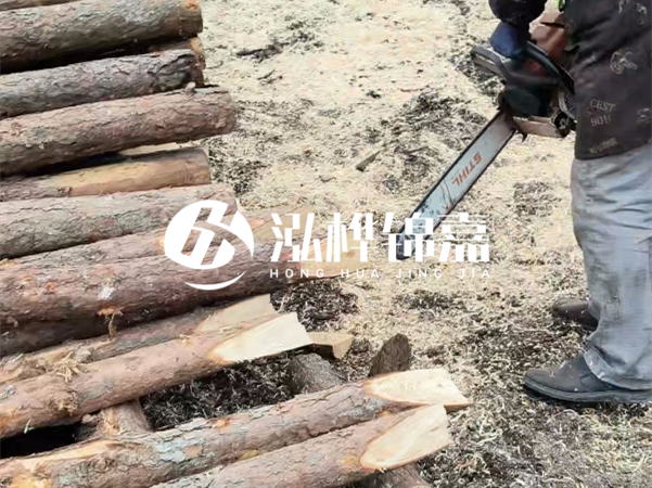 杉木樁批發(fā)廠家哪家好？產(chǎn)地直供渠道推薦！