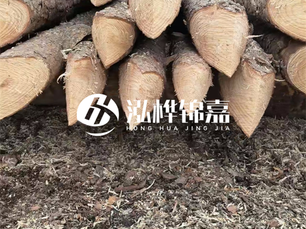 打樁木樁與鋼樁相比有哪些優(yōu)缺點(diǎn)？如何進(jìn)行后期維護(hù)？