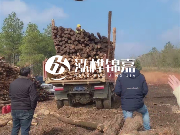 松木樁價(jià)格是按米算還是按根算？6米松木樁批發(fā)價(jià)每根多少錢？