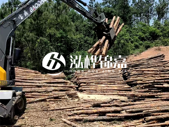 3米松木樁小頭10公分多少錢一根？大頭10公分又是多少錢？