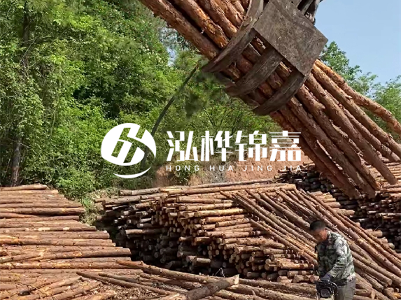 哪里能買到優(yōu)質(zhì) 3 米松木樁？長沙有松木樁批發(fā)工廠嗎？