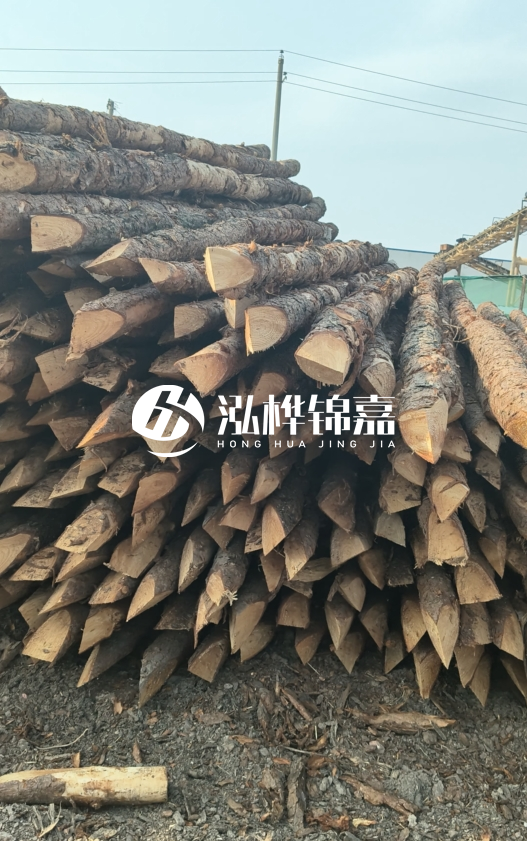 落葉松木材價格多少錢一立方？油松木材多少錢一立方？