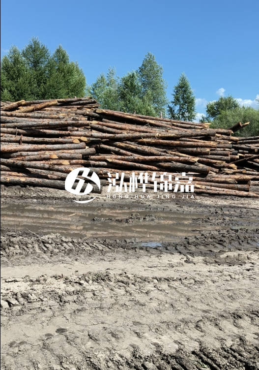 3米松木樁適合河道護(hù)坡嗎？小頭直徑8厘米的松木樁價(jià)格如何？