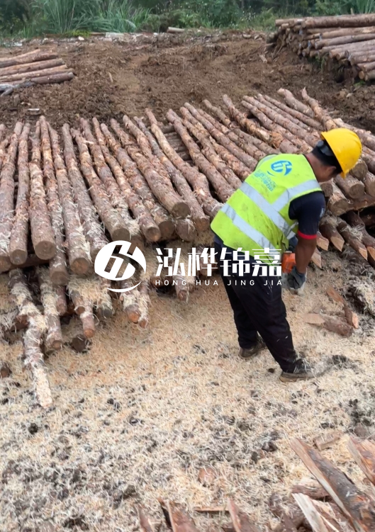 江蘇打樁木源頭廠家泓樺錦嘉-2.5米大頭10CM多少錢(qián)一根？