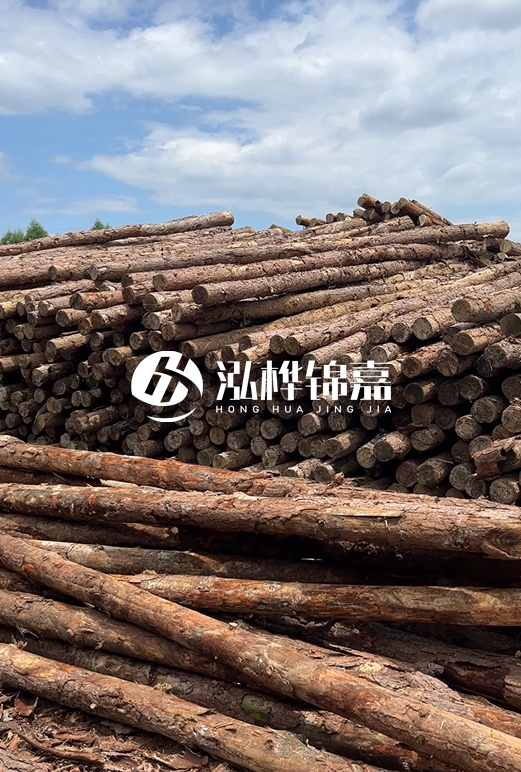 福建松木樁源頭廠家泓樺錦嘉-4.5米松木樁大頭15CM多少錢(qián)？
