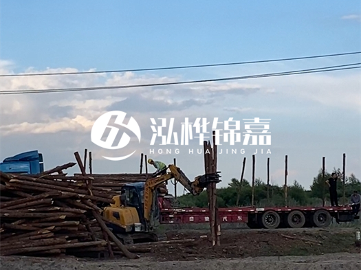 河北打樁木源頭廠家泓樺錦嘉 - 北方常用打樁木是什么？