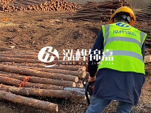 哪些木樁廠家能提供快速定制服務(wù)？哪些木樁廠家在國內(nèi)有多個生產(chǎn)基地？