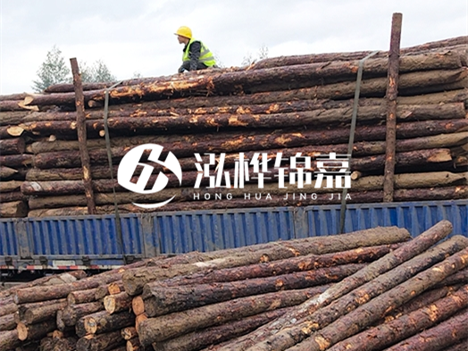 防洪防汛用松木樁的單價是多少？4米長10公分多少錢一根？