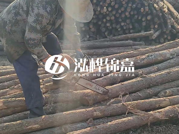 廣東打樁木源頭廠(chǎng)家泓樺錦嘉 - 如何選擇適合特定邊坡的松木樁？