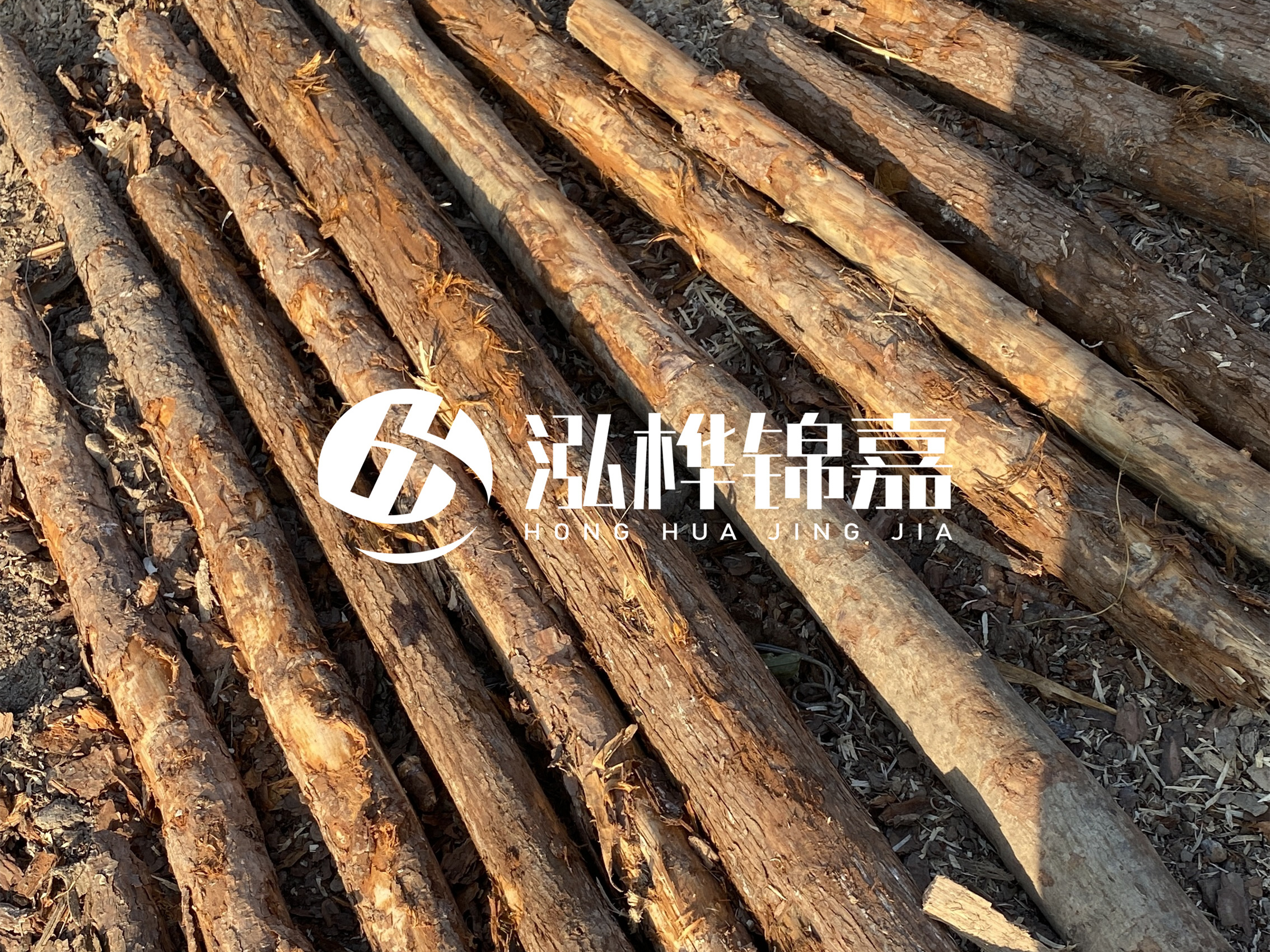 河道木樁多少錢一根？河道木樁的使用以及保養(yǎng)方法?