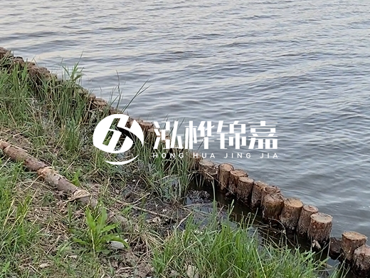 防洪松木樁施工重要性？河道打木樁的位置怎么確定？