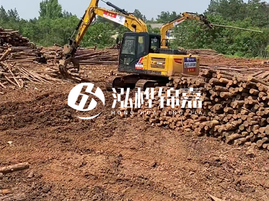 河道松木樁廠家聯(lián)系方式-6米10-15公分價格是多少？