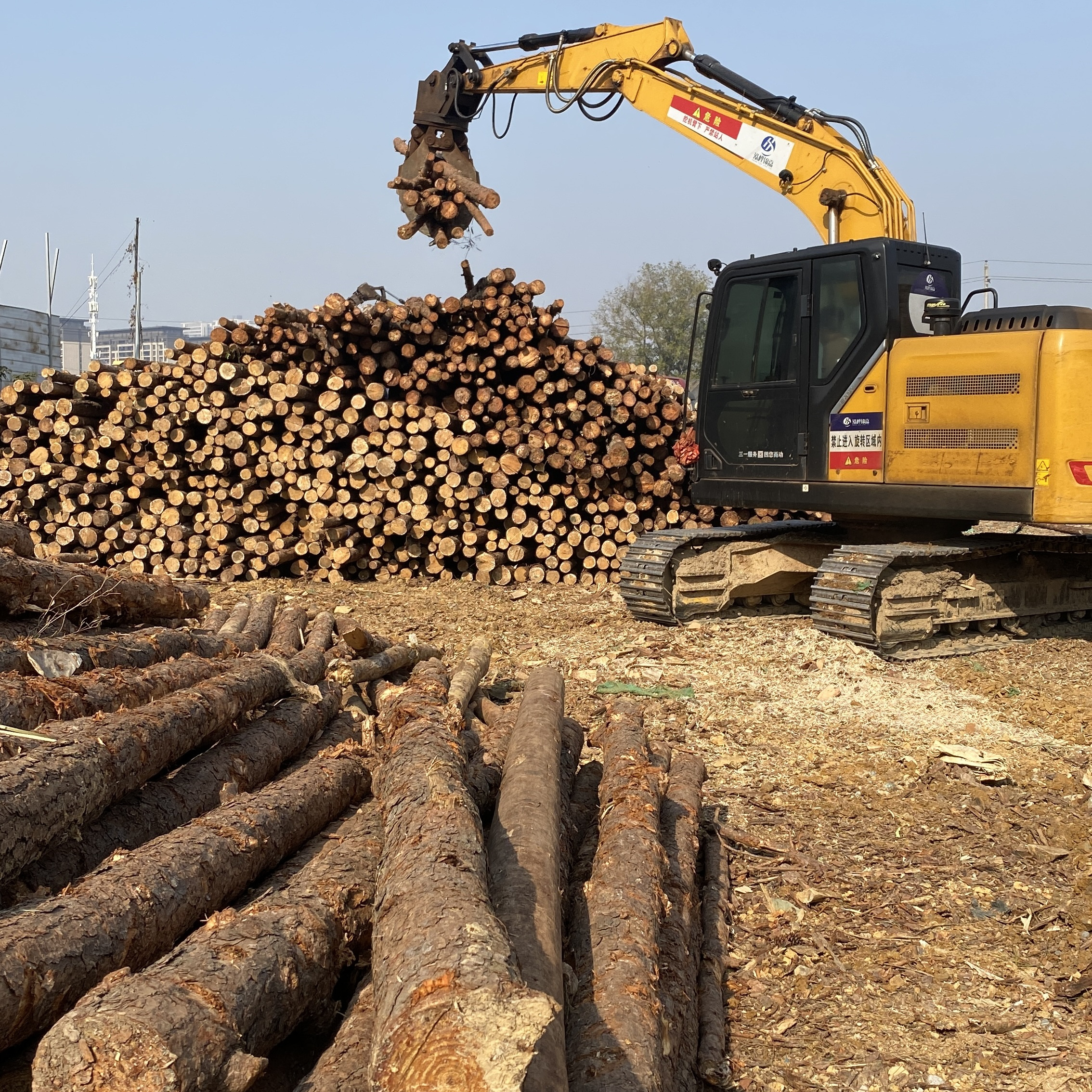 松木樁廠家泓樺錦嘉-濕地松原木的價格大概是多少？