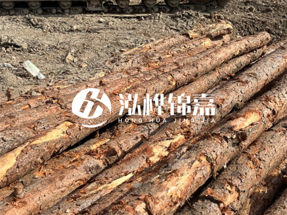 松木樁廠家泓樺錦嘉-原木松木樁的材質是落葉松還是濕地松好？