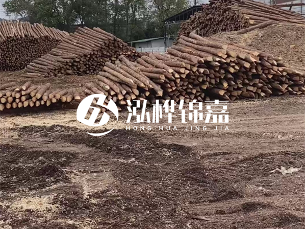 松木樁施工隊泓樺錦嘉-河道駁岸樁選擇松木還是水泥材質(zhì)更合適？