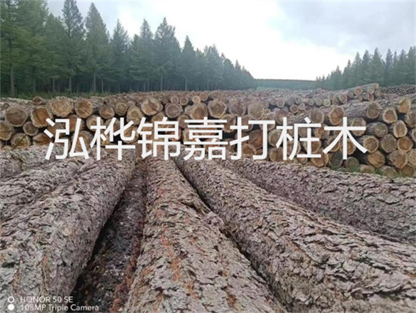 高效施工，圓松木樁助力建筑工程進(jìn)展順利