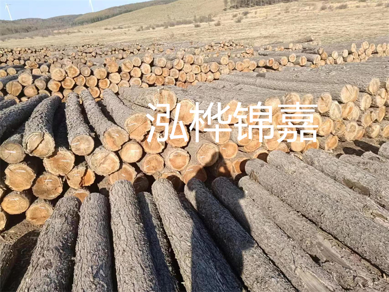 松木樁在哪里買？這里是最佳選擇！